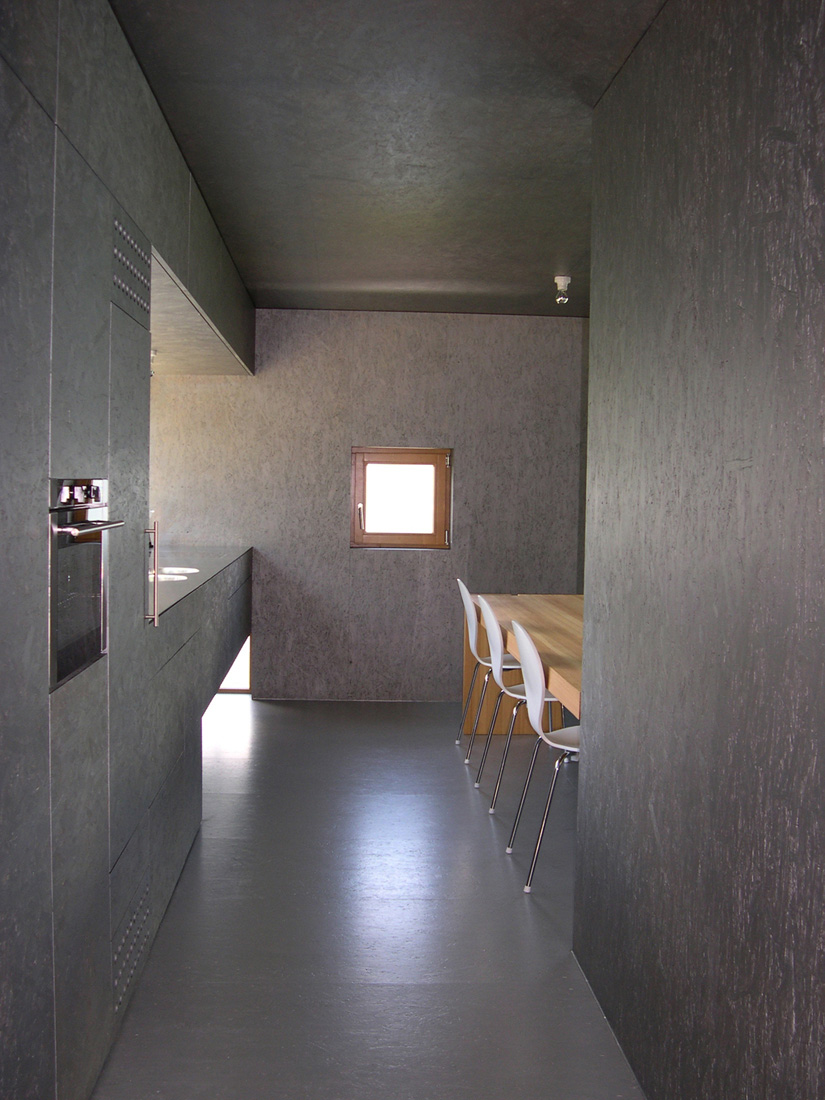 Wood house in Caviano / Wespi de Meuron