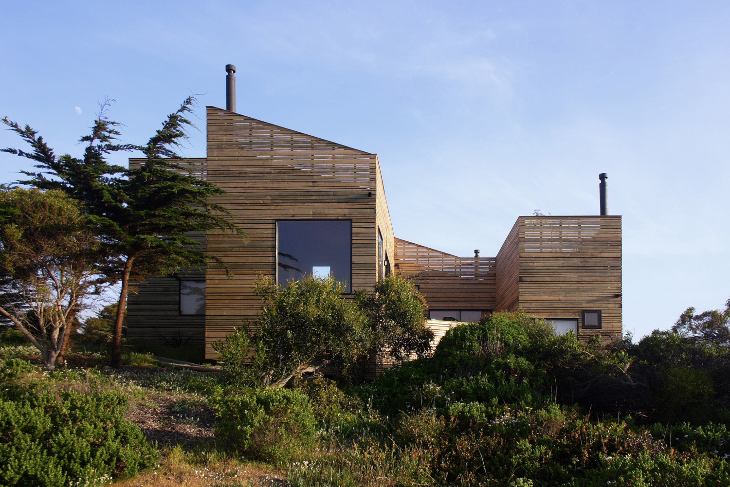 Metamorphosis 1 / Jose Ulloa Davet + Delphine Ding
