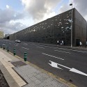 699924833_tea-tenerife-hdm-1372 699924833_tea-tenerife-hdm-1372