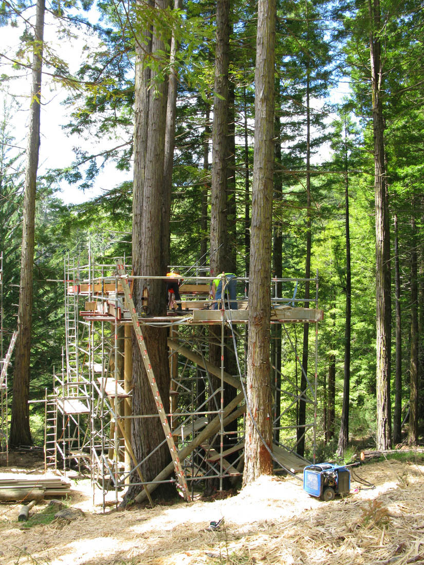 1106627579_img-2259 construction process