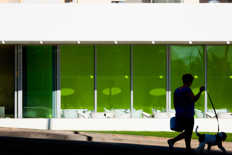 1403975014_ginkgo-66 1403975014_ginkgo-66