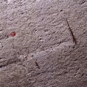 1434298718_textura2 1434298718_textura2