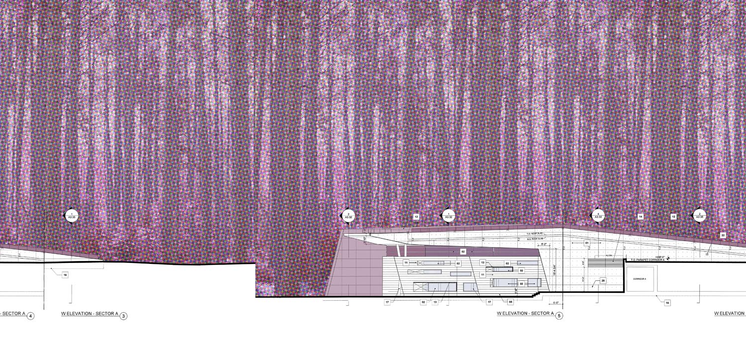 143888626_elevation elevation