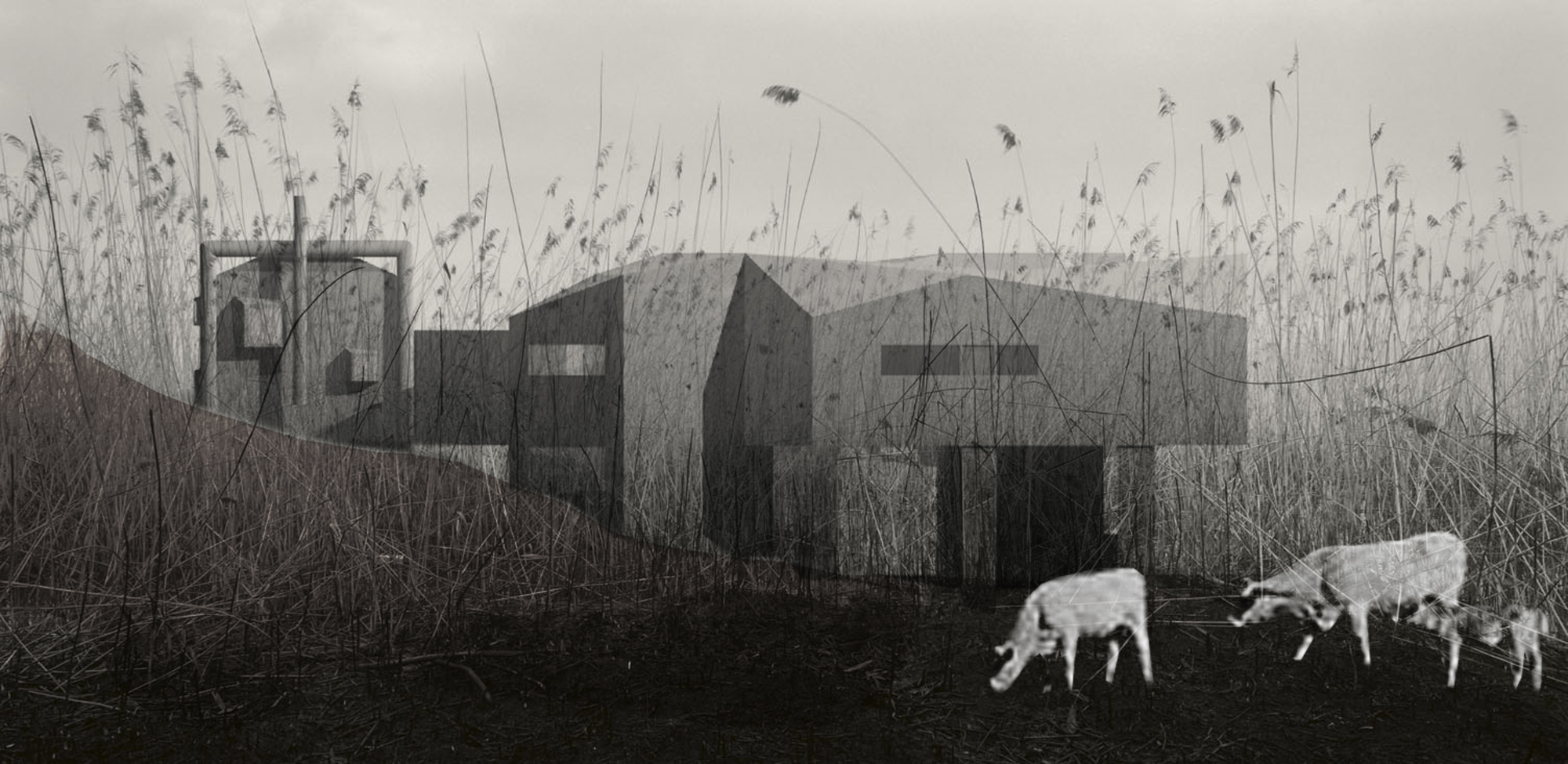 AD Futures #6: Paisajes Emergentes