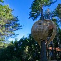 1561958632_treehoues-high-res-3 1561958632_treehoues-high-res-3