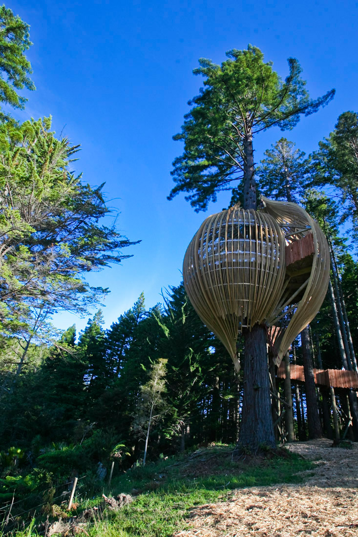 1561958632_treehoues-high-res-3 1561958632_treehoues-high-res-3