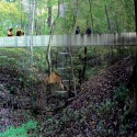 1591315919_visiondivision-bird-bridge-view2 1591315919_visiondivision-bird-bridge-view2