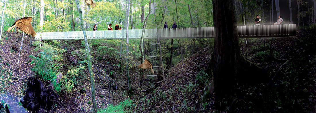 1591315919_visiondivision-bird-bridge-view2 1591315919_visiondivision-bird-bridge-view2