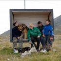 1733355812_snefjord-m-hund 1733355812_snefjord-m-hund