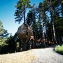 1788119206_treehoues-high-res-1 1788119206_treehoues-high-res-1
