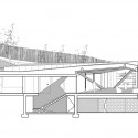 1854272867_section-01 section 01
