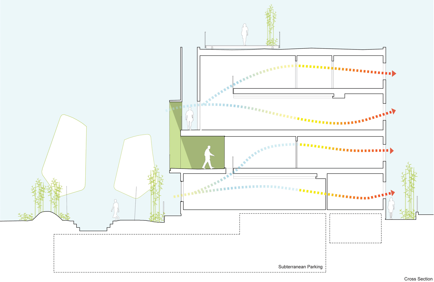section cross section