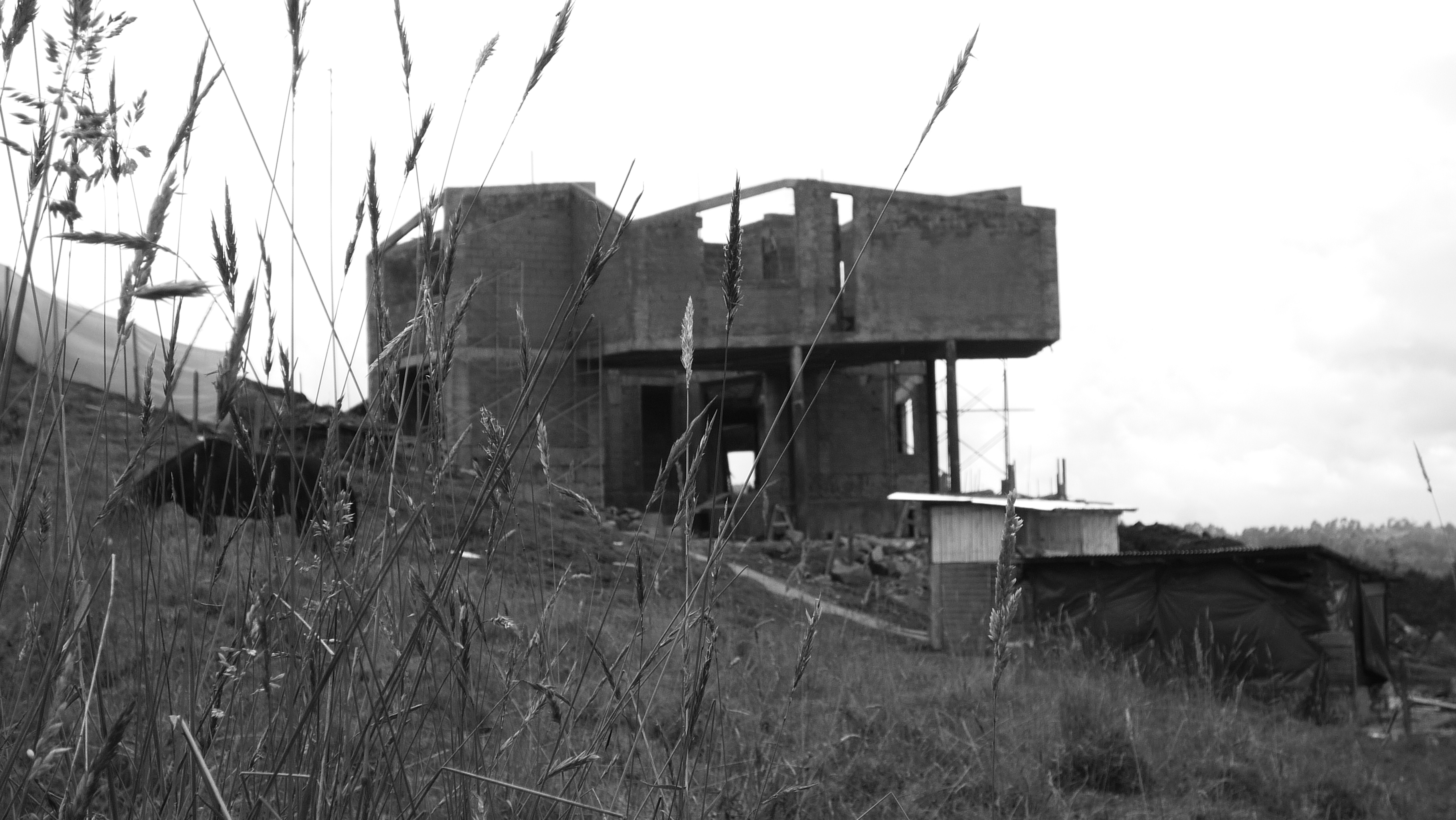 AD Futures #6: Paisajes Emergentes