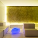 2087277107_ginkgo-76 2087277107_ginkgo-76
