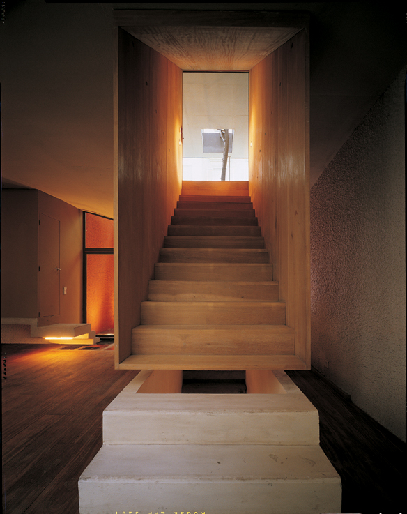 Galvani House / christian pottgiesser architecturespossibles