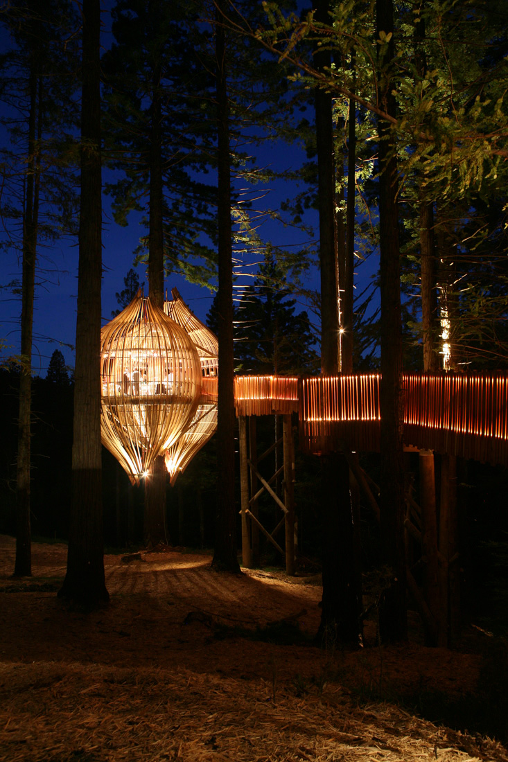 264669169_treehoues-high-res-13 264669169_treehoues-high-res-13