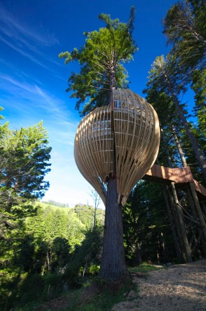 Yellow Treehouse Restaurant / Pacific Environments