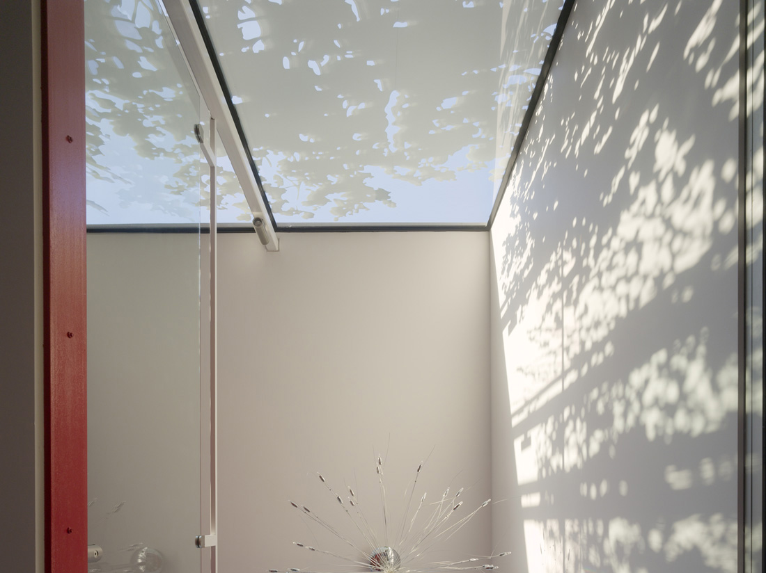 Tattoo House / Andrew Maynard Architects