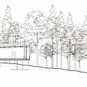 750422996_corte Section