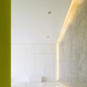 937555890_ginkgo-65a 937555890_ginkgo-65a