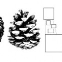 1595263609_nrja-bei-concept 1595263609_nrja-bei-concept