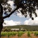 14 Viñas Winery / S.M.A.O.
