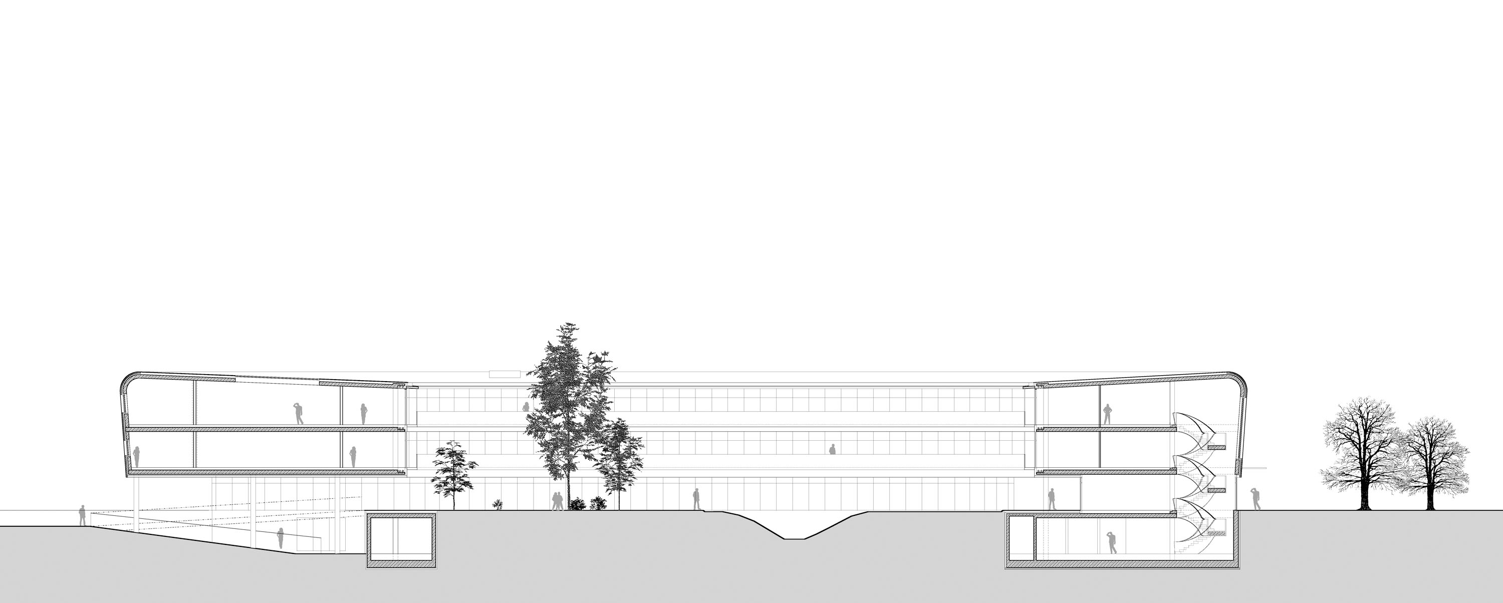1714030138_section section