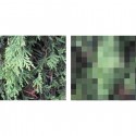 1938363558_lounge-ms-27 colors scheme
