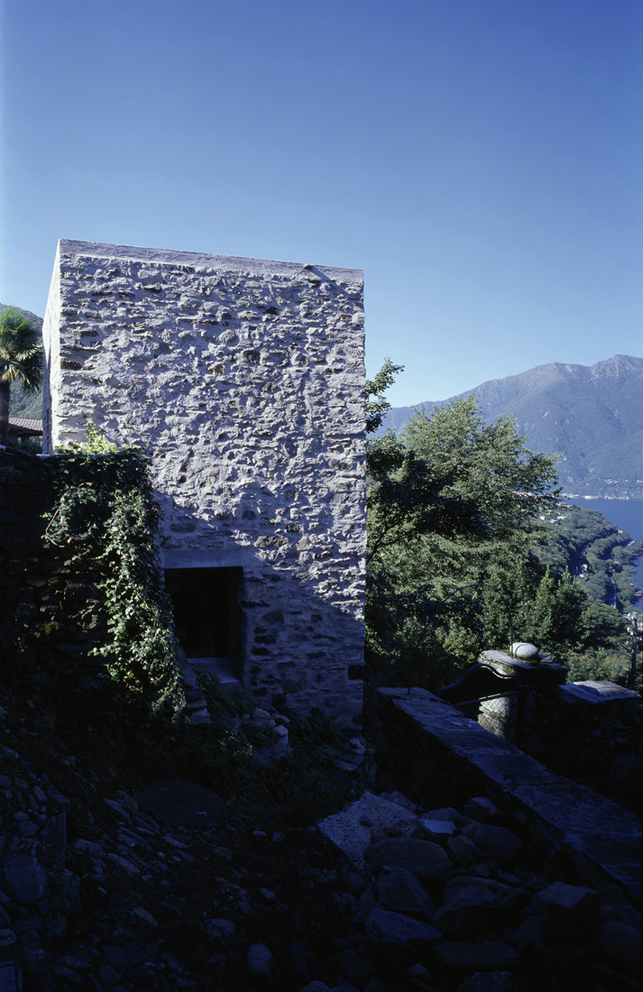 197609694_scaiano-04 197609694_scaiano-04
