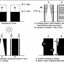 323869738_silo04 323869738_silo04