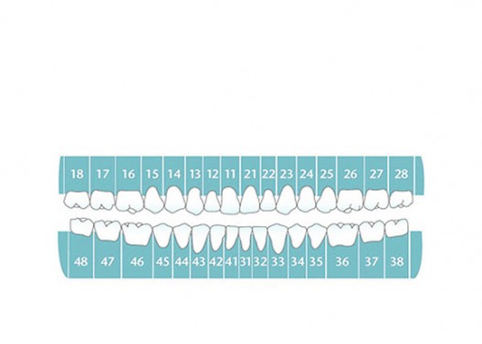 1300360522_plan-scheme plan scheme