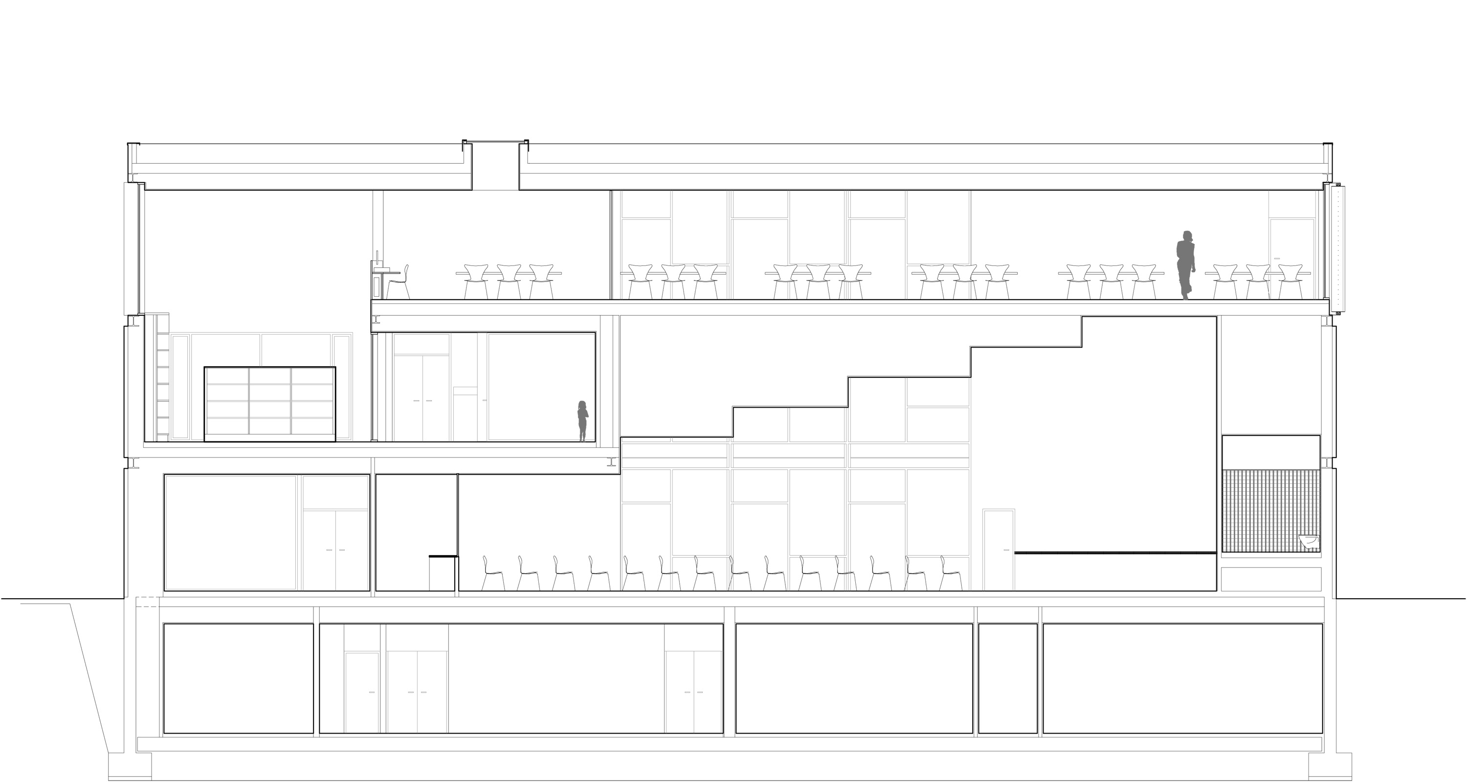 1452723596_section-01 section 01