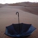 1592260057_visiondivision-umbrella-dew 1592260057_visiondivision-umbrella-dew