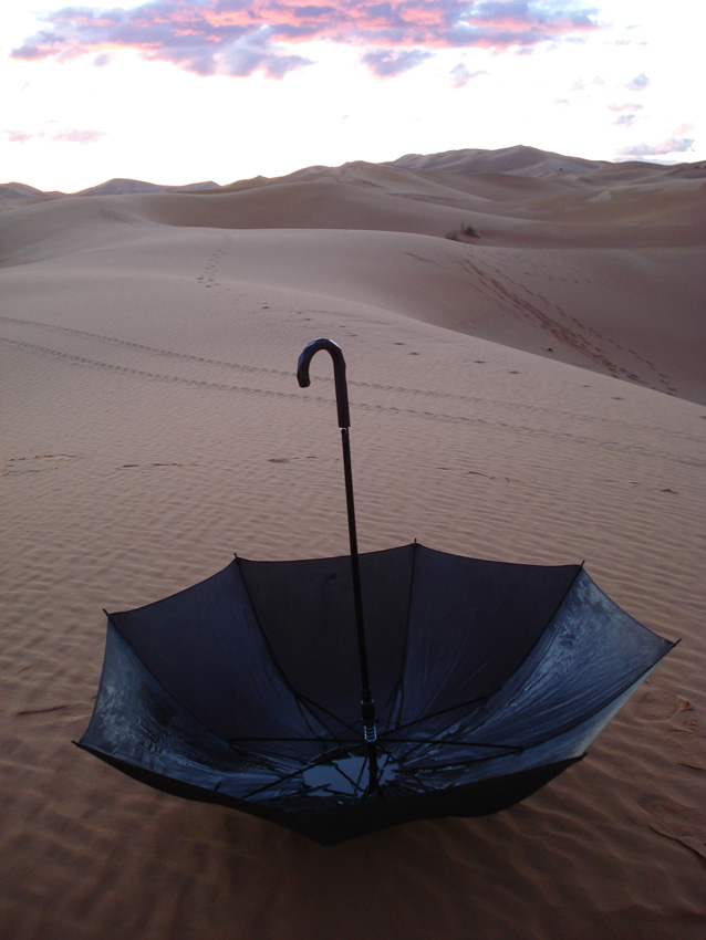 1592260057_visiondivision-umbrella-dew 1592260057_visiondivision-umbrella-dew