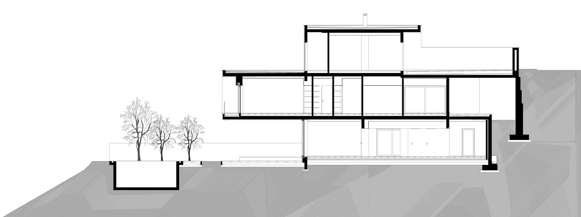 1824744453_corte-longitudinal section 01