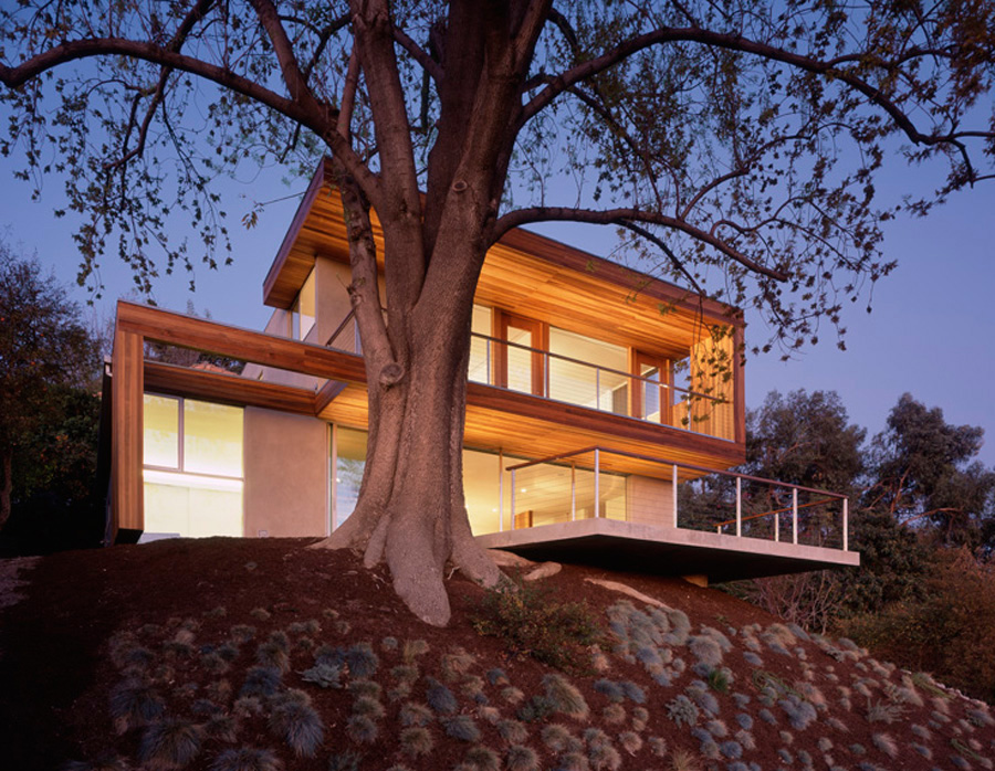 Tree house / Standard