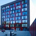 54470208_cp009568 Campagneplein