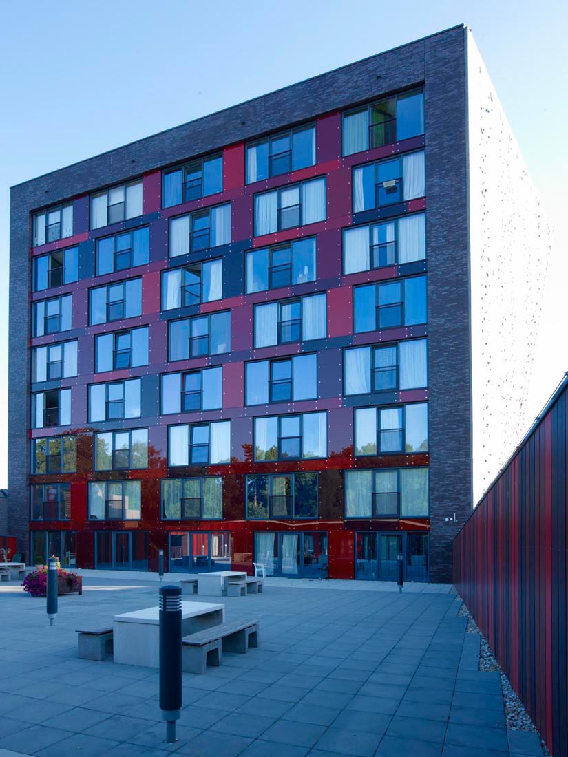 54470208_cp009568 Campagneplein