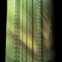 1302184934_verde 1302184934_verde