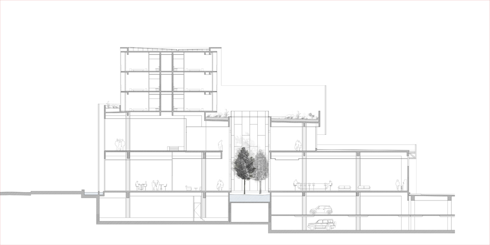 135754786_corte-22--transversal-por-patio-int section 01