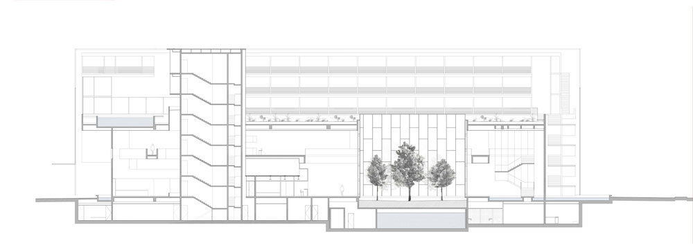 316272817_corte-aa---longitudinal-por-patio-int section 03