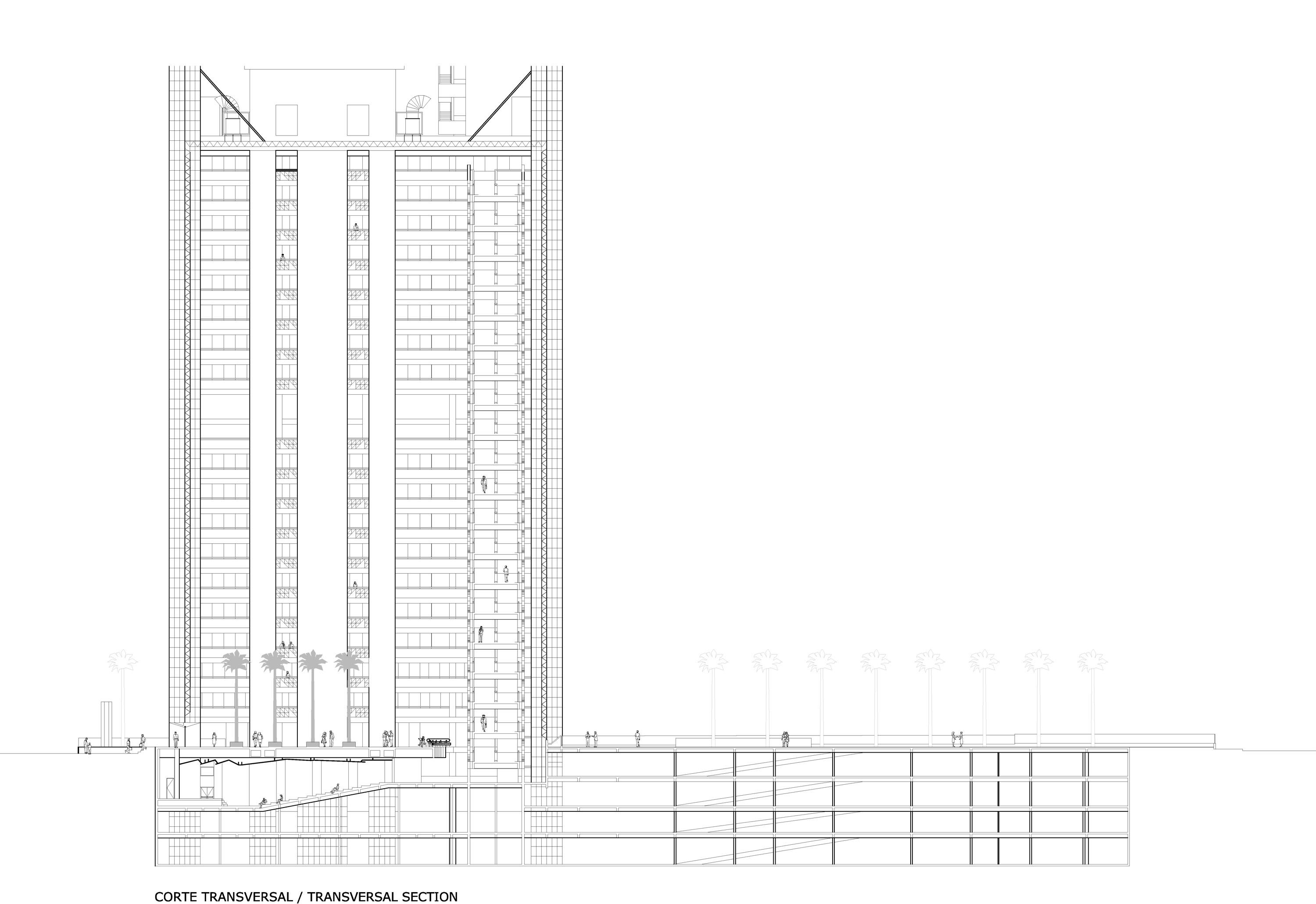 535492355_section-01 section 01