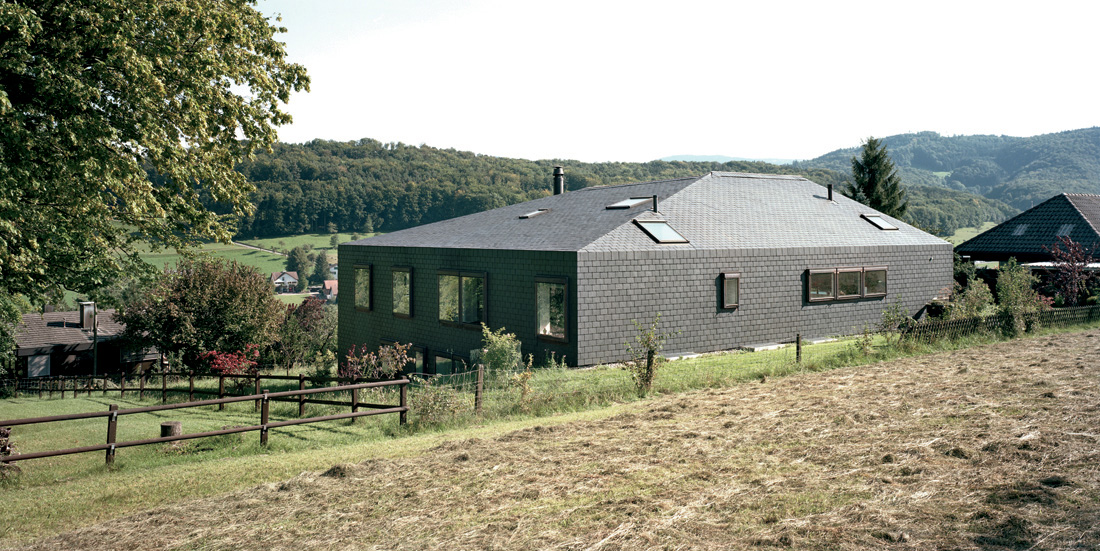 900865371_lupsingen-2 900865371_lupsingen-2