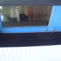 blue-door-revolution blue-door-revolution blue-door-revolution
