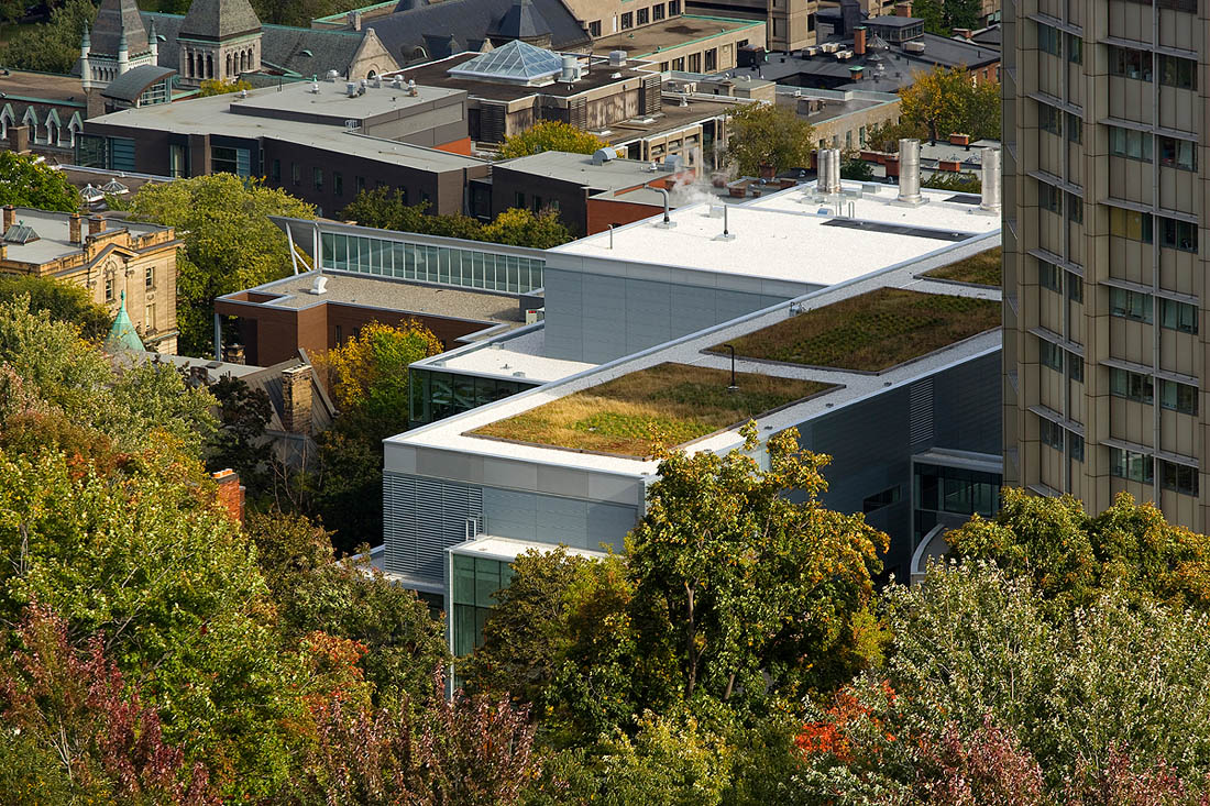 mcgill_sciences_03 mcgill_sciences_03
