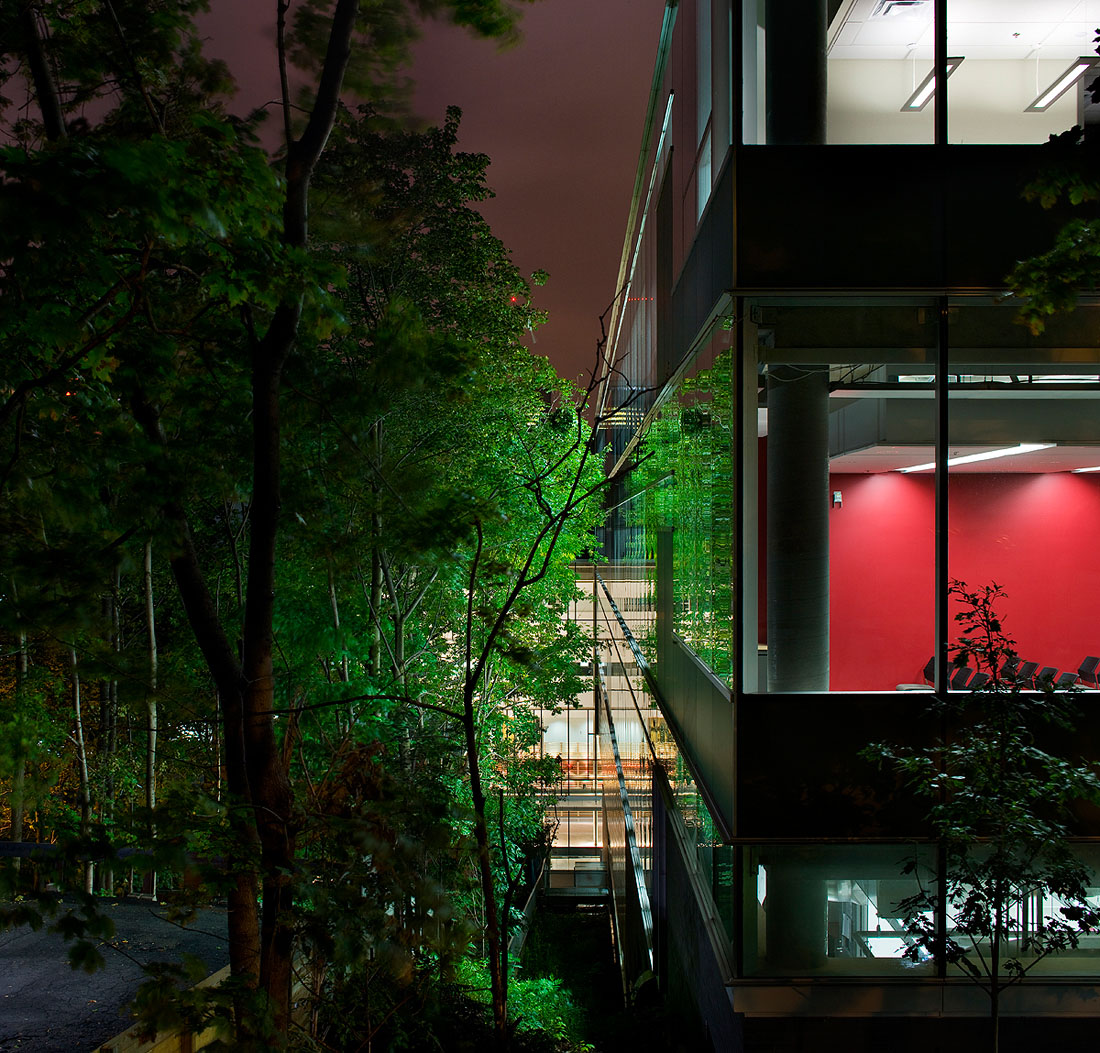 mcgill_sciences_16 mcgill_sciences_16