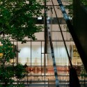 mcgill_sciences_17 mcgill_sciences_17 mcgill_sciences_17