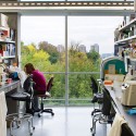 mcgill_sciences_29 mcgill_sciences_29 mcgill_sciences_29