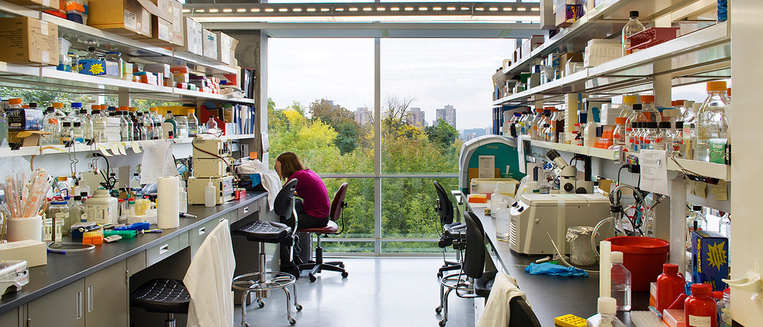 mcgill_sciences_29 mcgill_sciences_29