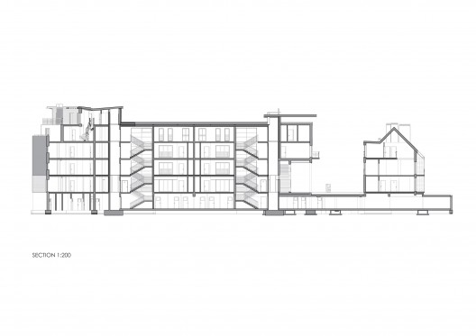 section